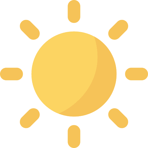Summer Offer